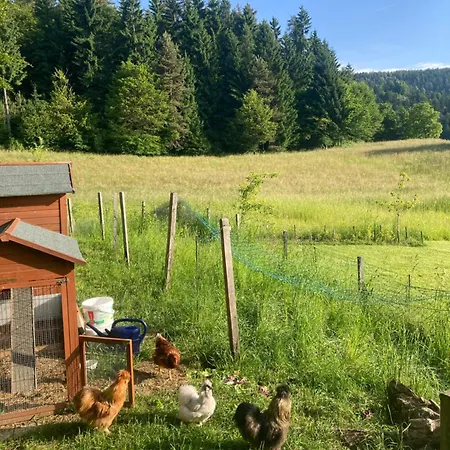 Anton's - & Velden am Wörther See